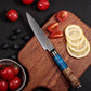 KD 5" Utility Kitchen Knife 67 Layers Damascus Steel Slicing Knife with Give Box