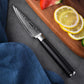 KD 3.5" Paring Knife 67 Layers VG10 Damascus Steel with Sheath and Gift Box