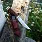 KD Hunting Knife 5" Stainless Steel with Sharpening Stone and Leather Belt Sheath