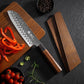 KD Santoku Chef Knife Japanese VG10 67 layers Damascus Steel with Gift Box