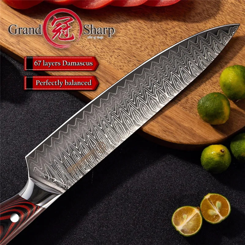 KD 8" Japanese Kitchen Chef Knife 67 Layers VG-10 Damascus Steel with Gift Box