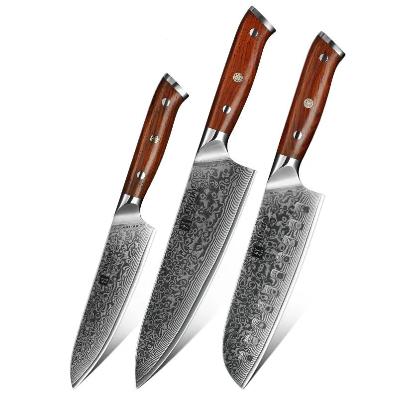 3PCS Kitchen Knife Sets Japanese Forged Damascus Steel Chef Santoku Knives Rosewood Handle