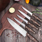 KD 14 PCS Wood Handle Kitchen Knife Set with Sharpener Block
