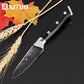 KD Damascus Paring Knife 67 Layer Japanese VG10 Damascus Steel Fruit Peeling Knife