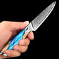 KD Paring Knife 3.5 Inch VG10 Damascus Steel 67-Layers Ergonomic Handle