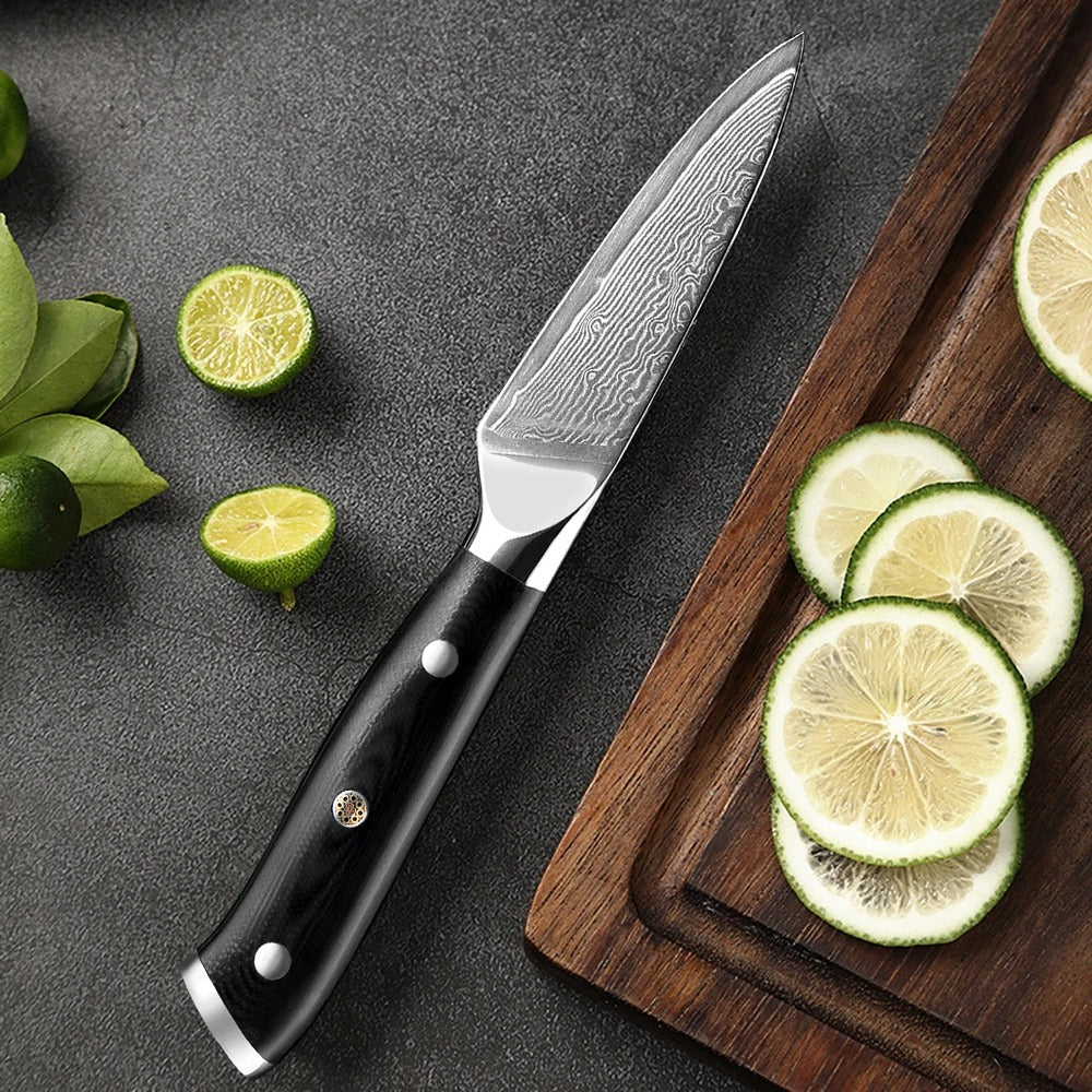 KD Japanese Fruit Knife VG10 Damascus Steel Knives Vegetable Knife