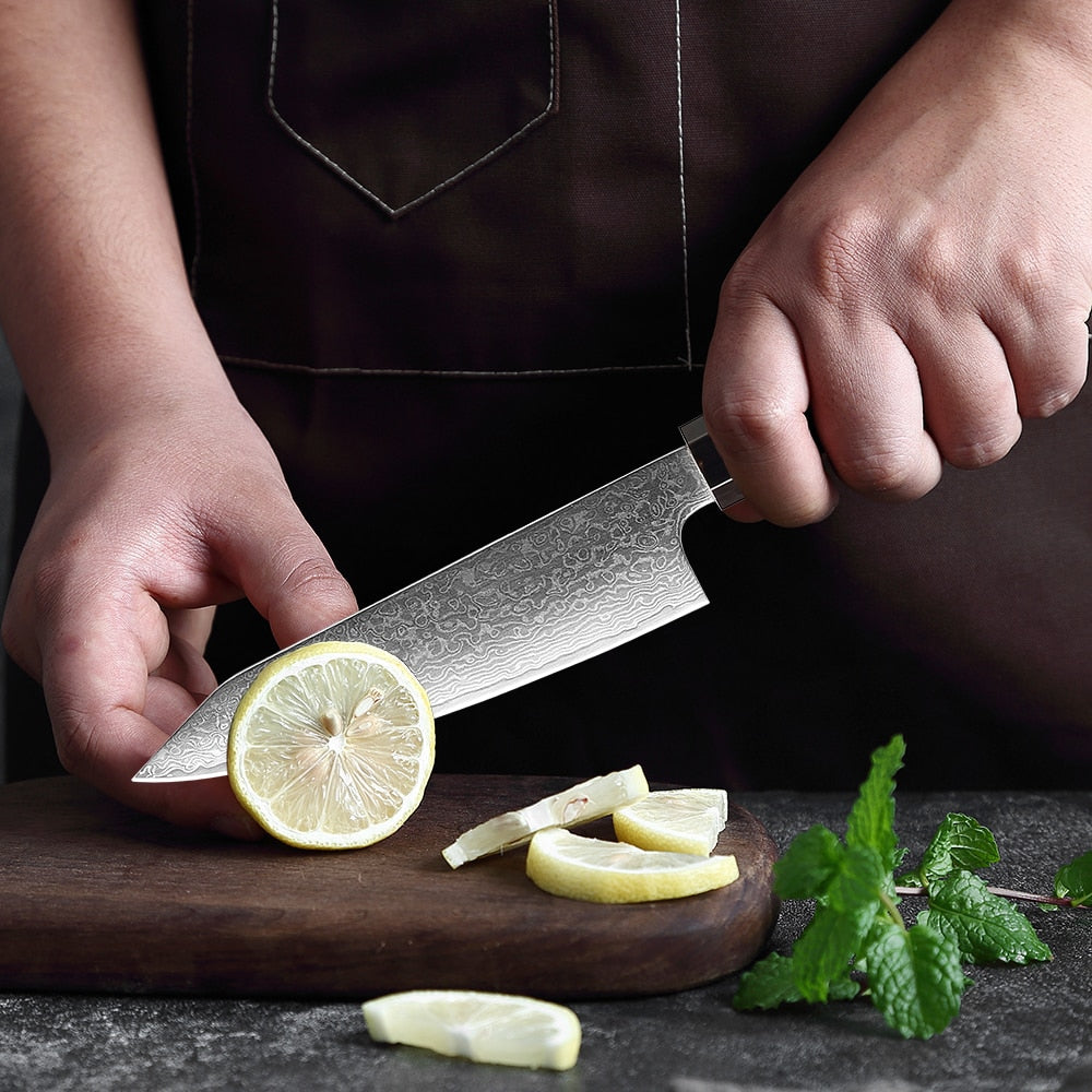 KD Paring Fruit Knife Damascus Steel Vegetable Peeling Knife