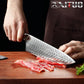 Professional Kitchen Damascus Chef Knife VG10 With Knives Cover - Knife Depot Co.