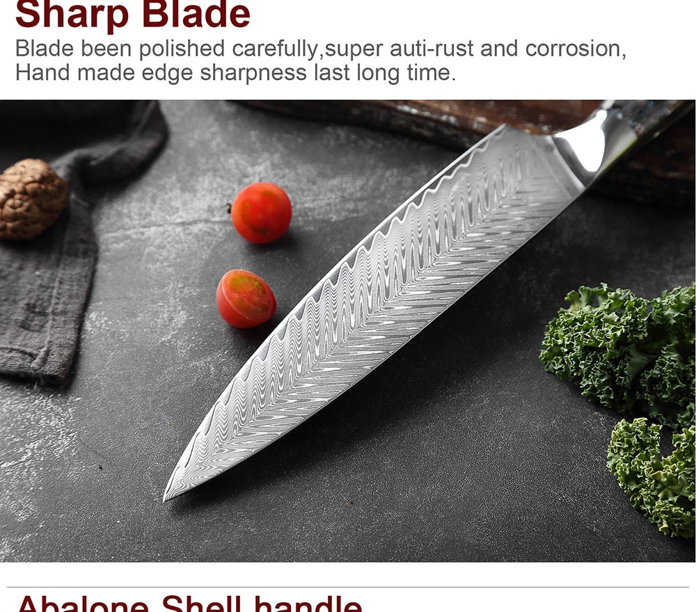 KD 5 PCS Professional Japanese Damascus Steel Chef Knife Set – Knife Depot  Co.