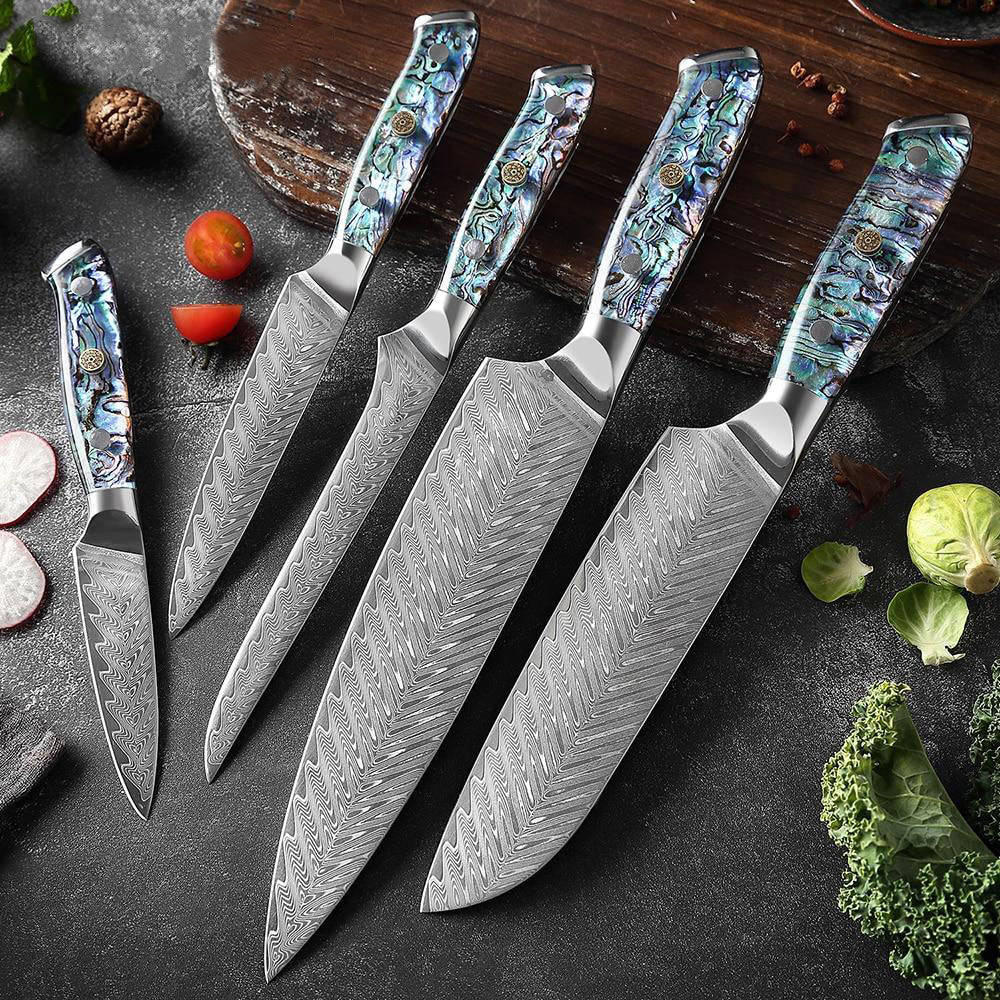KD 5 PCS Professional Japanese Damascus Steel Chef Knife Set - 5PCS - Knife Depot Co.
