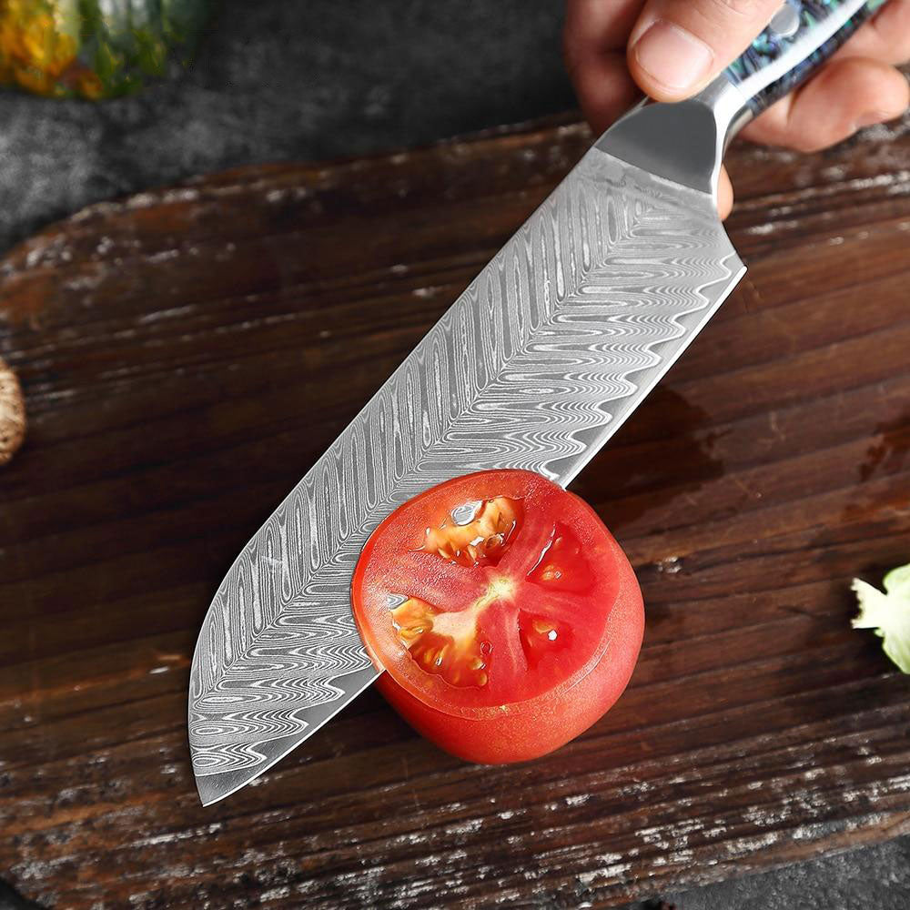 KD 5 PCS Professional Japanese Damascus Steel Chef Knife Set – Knife Depot  Co.