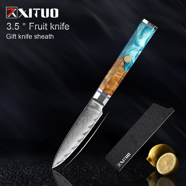 Kitchen Knives 67 Layers Damascus Japanese Style Sharp Blade Chef Knife - 3.5" Fruit Knife - Knife Depot Co.