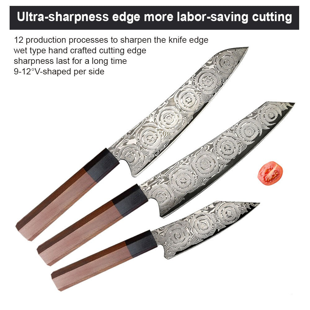 Kitchen Knives 3 pcs Set 67 Layers Damascus Steel Chef Knife Premium Rosewood Handle - Knife Depot Co.